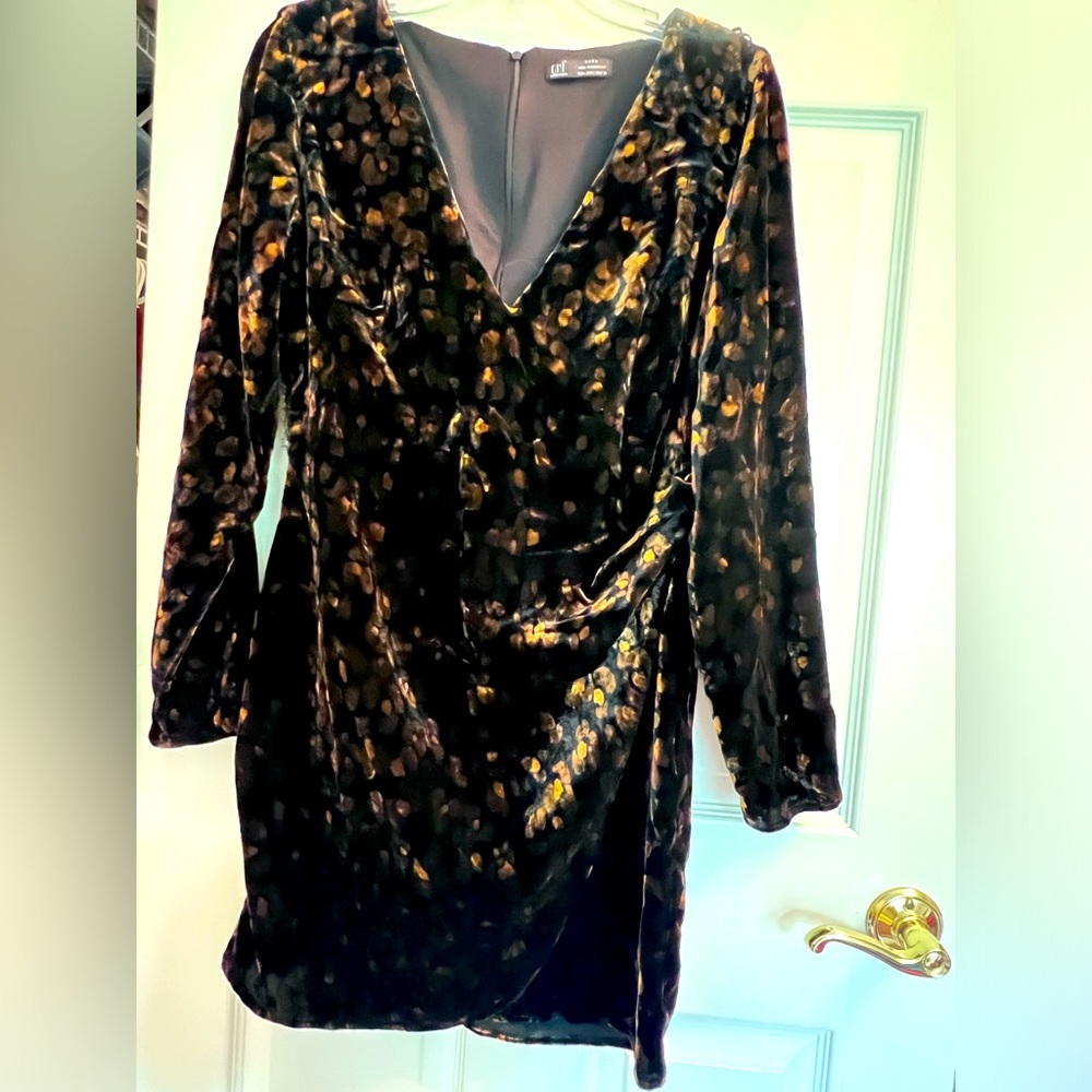 Zara dress